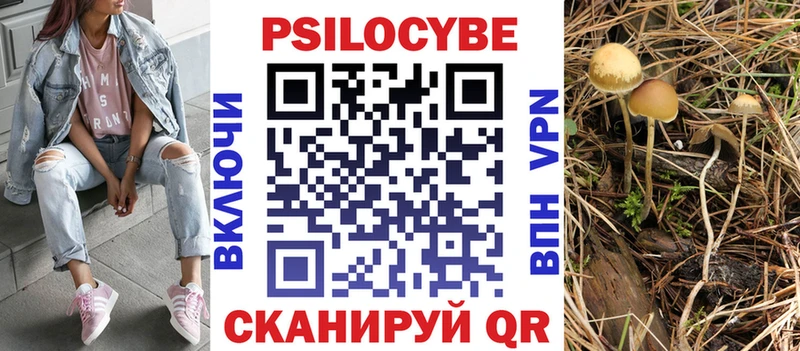 Галлюциногенные грибы Psilocybine cubensis  Купить закладки  Баксан 